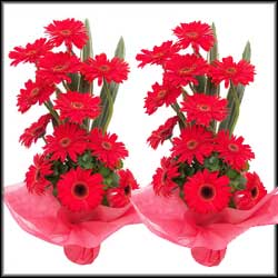 "Blossom wishes (Express delivery) - Click here to View more details about this Product
